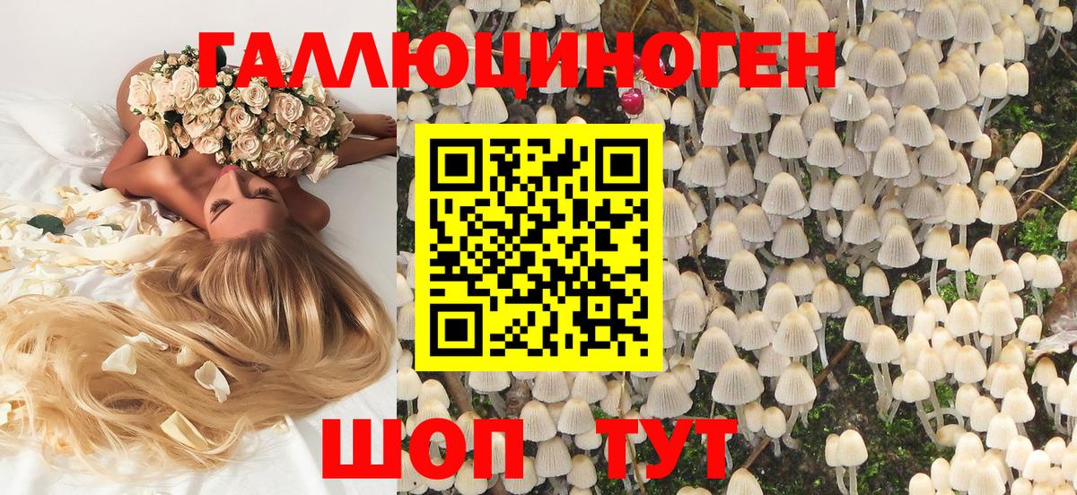 Галлюциногенные грибы мухоморы  Вход с VPN  Нерюнгри 